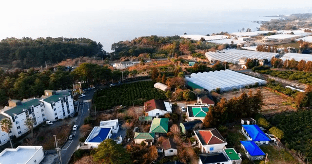 해안가 근처의 다채로운 마을