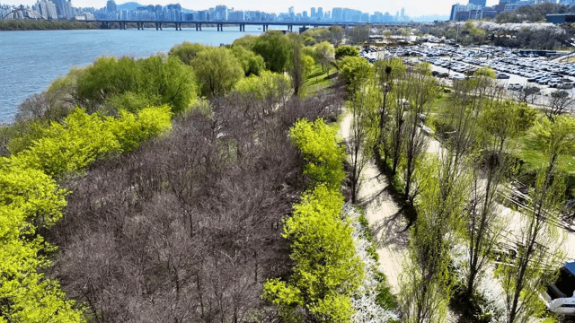 알록달록한 나무가 있는 강변길