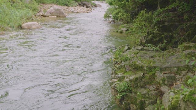 Tranquil river flowing through rocks