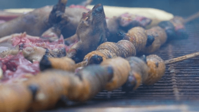 바비큐에서 고기와 애벌레 굽기