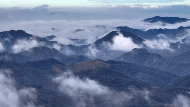 구름이 낀 안개 낀 산