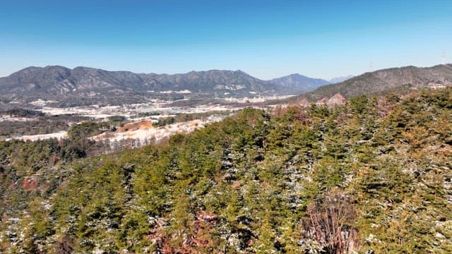 눈 덮인 산과 푸른 나무 경치