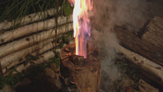 밝은 불꽃이 타오르는 통나무