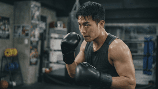 Boxer who trains intensively at gym.
