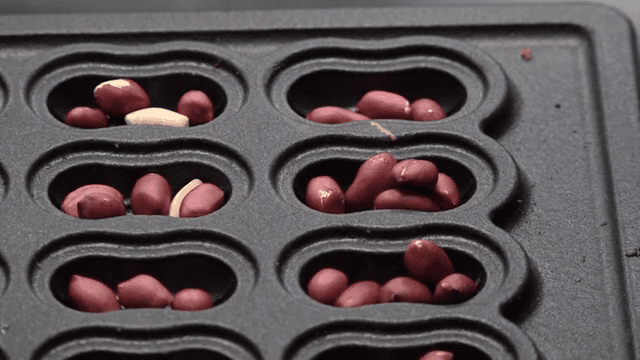 베이킹 트레이에 있는 땅콩