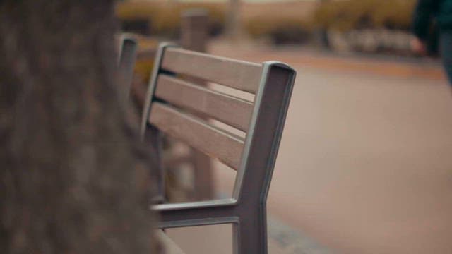 사람들이 거니는 공원의 벤치