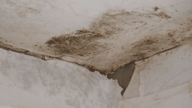 Peeling wallpaper with mold on the wall