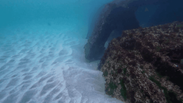 Underwater view of a coral-covered structure