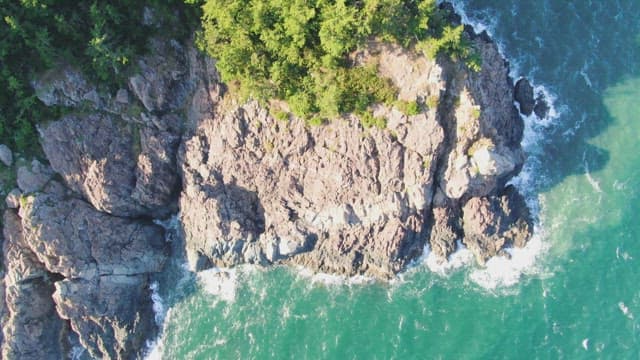 Rocky coastline with lush green trees