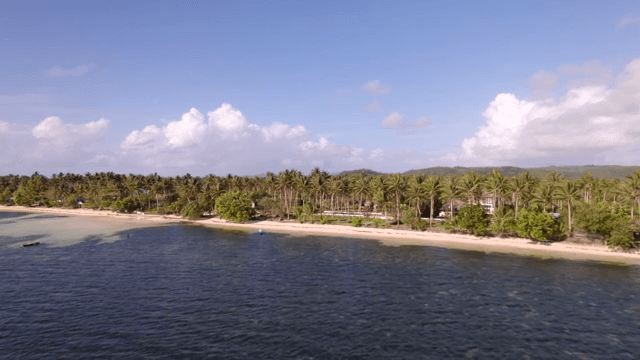 Tropical beach with palm trees and clear water