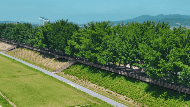 Lush green riverside park