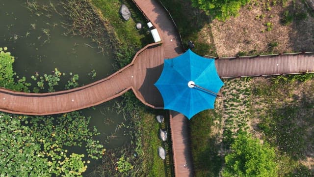 파란 지붕이 있는 연못 위의 나무 산책로