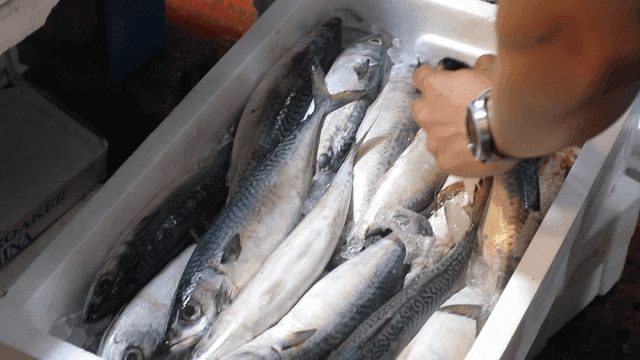 얼음과 함께 상자에 담긴 신선한 생선