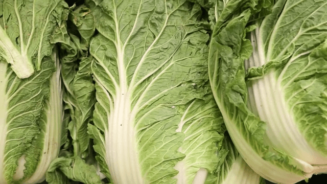 Fresh napa cabbages stacked together