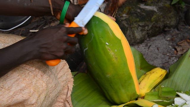 Cutting a papaya outdoors on a banana leaf