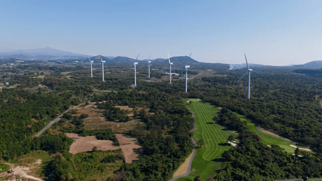 넓은 녹지에 있는 풍력 터빈