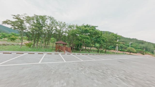 Scenic view of a lush green park