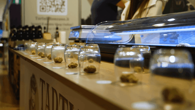 Truffle mushrooms displayed under glass case
