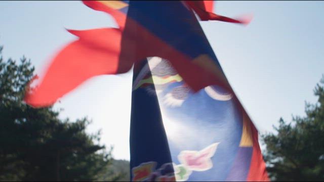 Vibrant Flag Waving in the Sunlit Forest