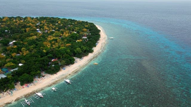 Lush island with a sandy beach