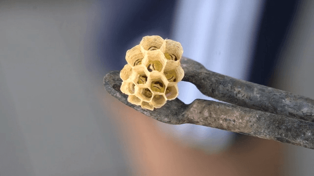 집게로 잡은 작은 벌집