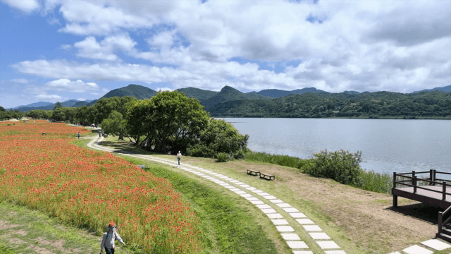 꽃이 핀 강가의 경치 좋은 길
