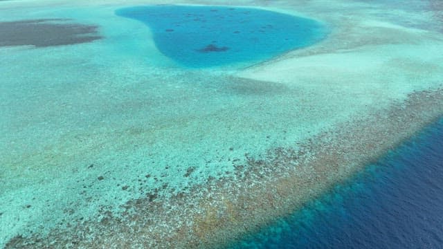 Maldives seascape with coral reef