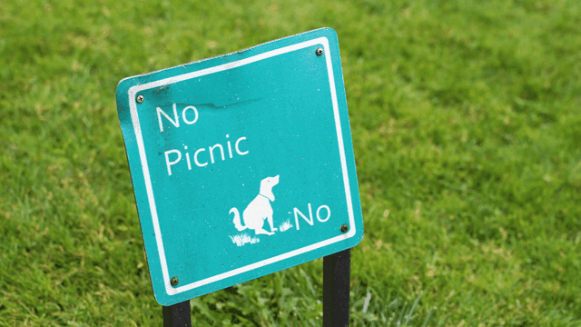 Sign prohibiting picnics in a grassy area