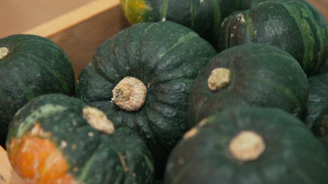 Several Green Pumpkins in a Wooden Crate