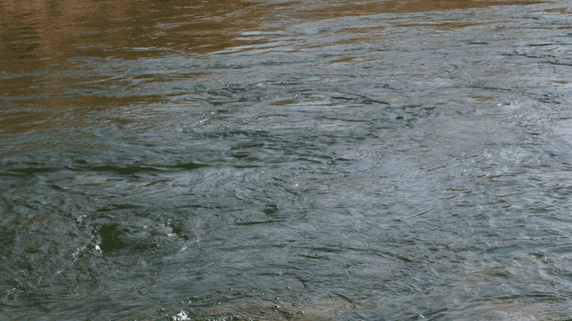 부드러운 물결이 있는 흐르는 강