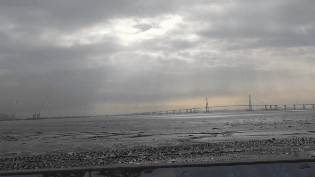 흐린 날의 다리가 있는 광활한 바다