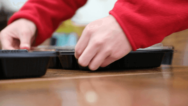 Hands preparing a meal in a container