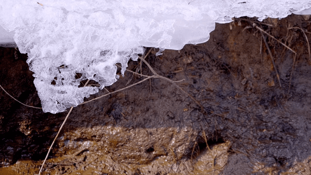 진흙 위에 녹는 얼음