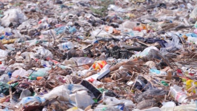 Overflowing Garbage at a Landfill Site