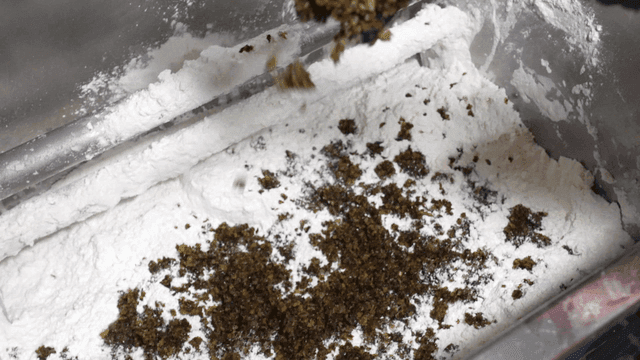 Kelp powder sprinkled on flour that goes into dough machine