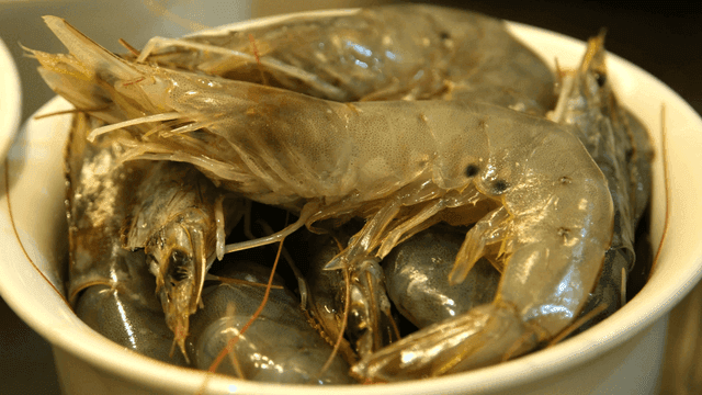 Fresh shrimp piled in a white bowl