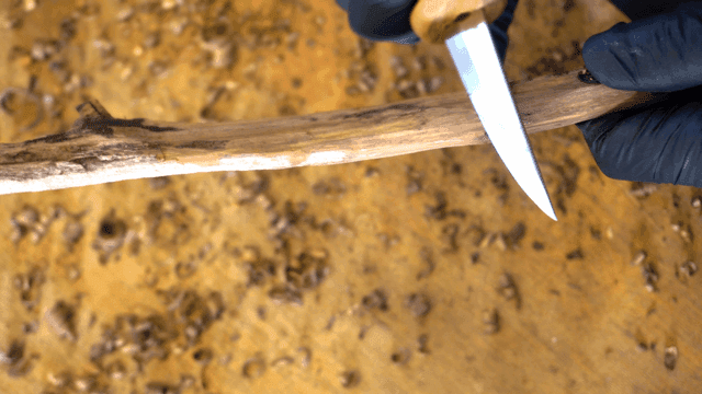 작은 칼로 나무 조각하기