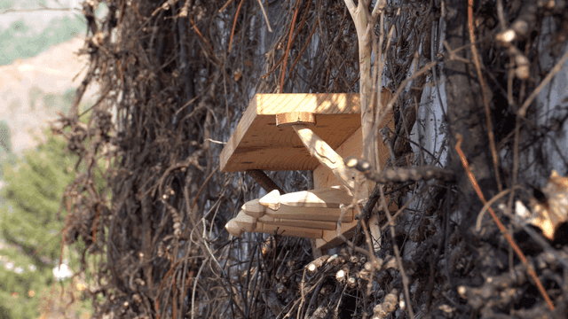 겨울 덩굴로 덮인 벽에 있는 나무 선반