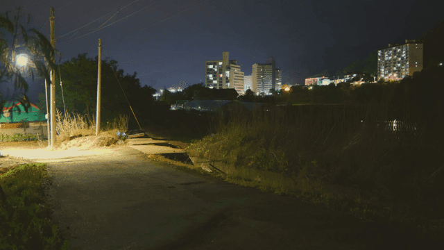 가로등이 있는 조용한 시골 밤 거리