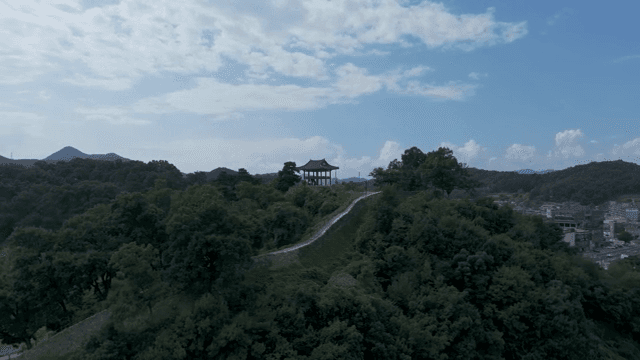 숲이 우거진 언덕 위의 전통 정자