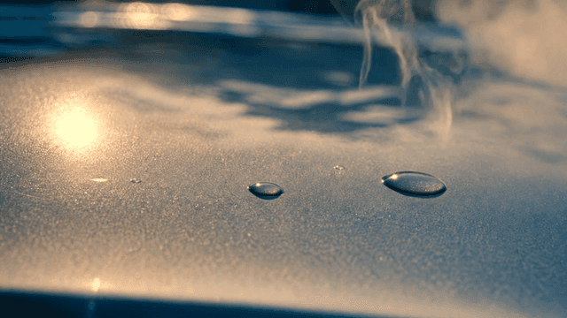 Water droplets evaporating in sunlight