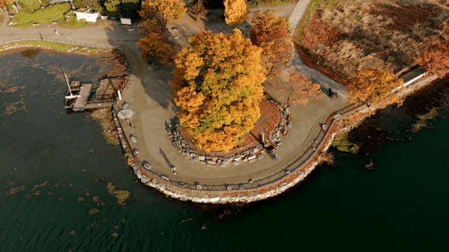 호숫가에 있는 가을 공원과 단풍나무