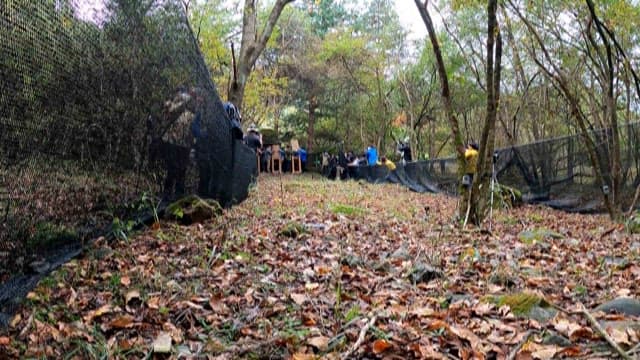 숲속 케이지에서 나와 달리는 동물들