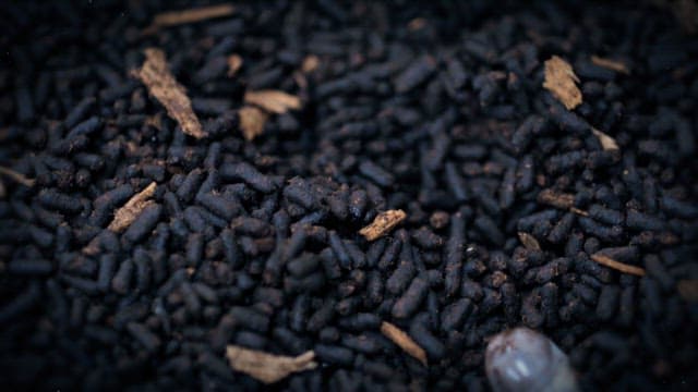 어두운 퇴비 위에서 꿈틀거리는 굼벵이