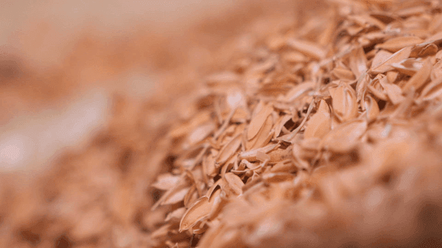 Pile of rice husks