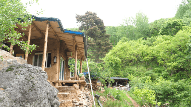 숲 속에 위치한 작은 집