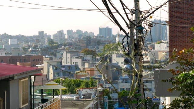 Cityscape with power lines and greenery