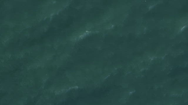 물 표면에서 부드럽게 움직이는 파도