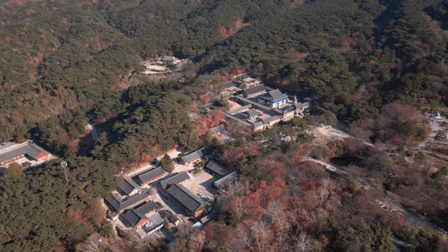 숲으로 둘러싸인 전통 한국 사찰
