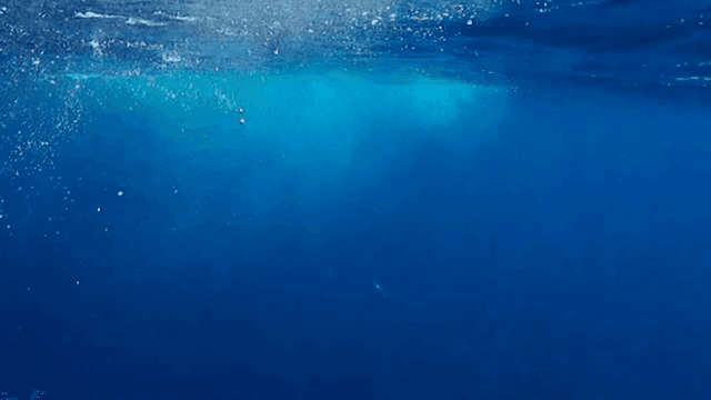 거품과 빛이 있는 수중 장면